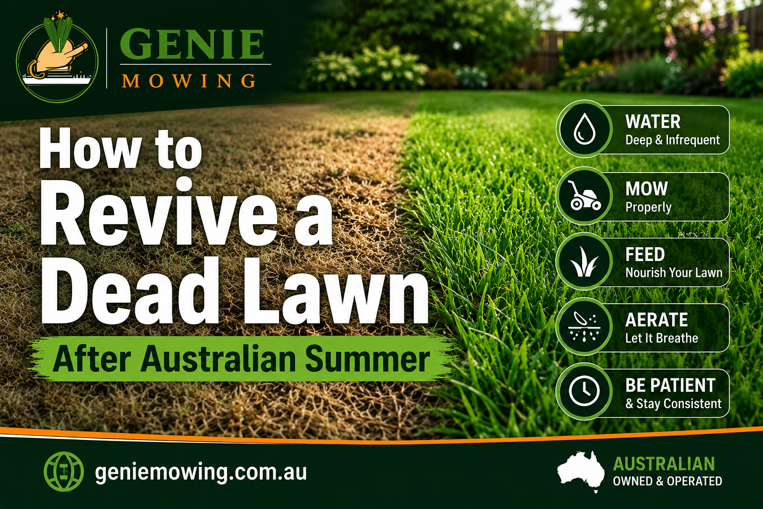 How to Revive a Dead Lawn
