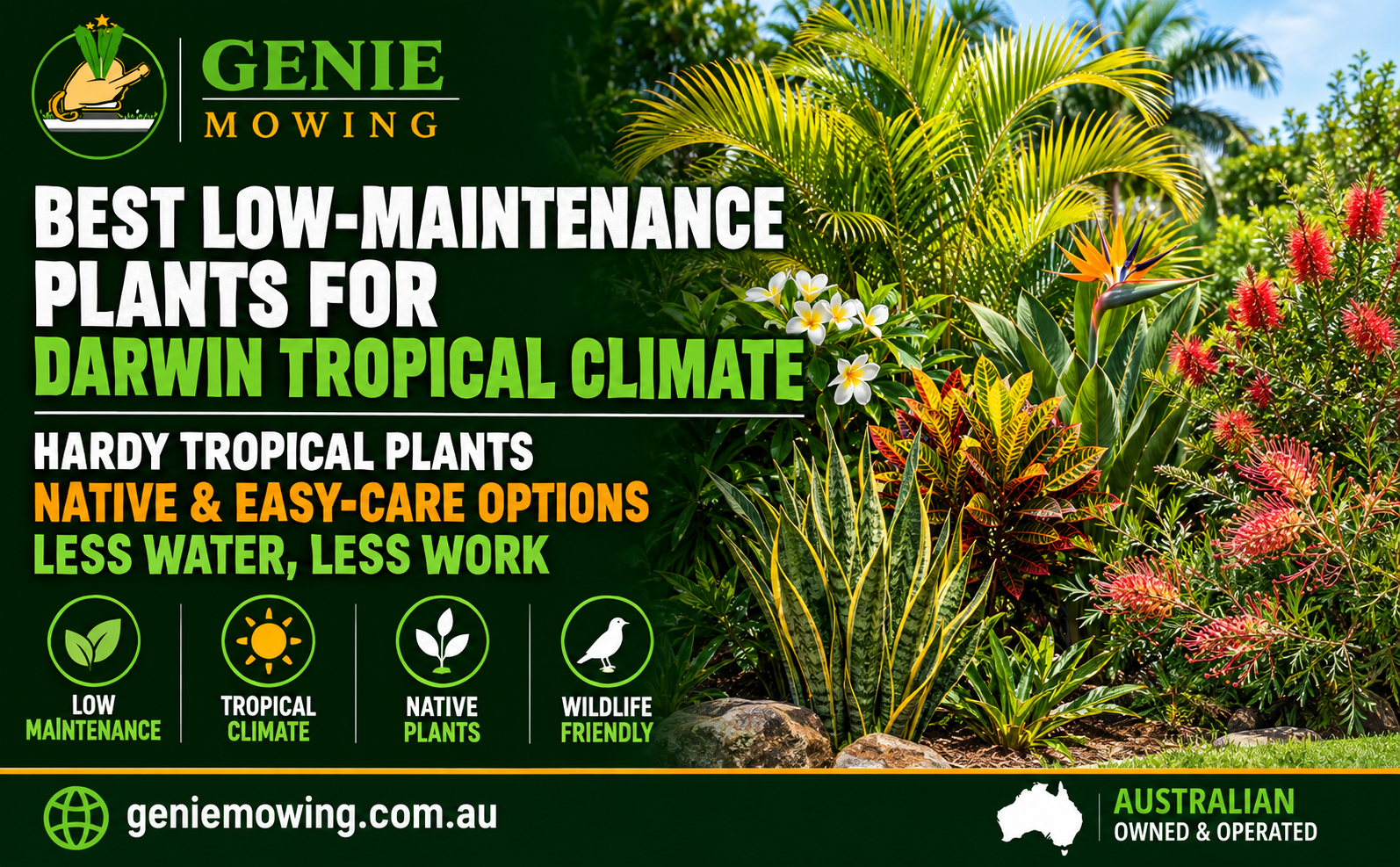 Darwin Tropical Climate
